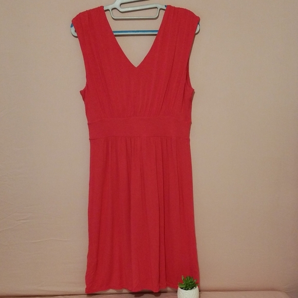 Express Pink Evening Midi Dress - Picture 5 of 6